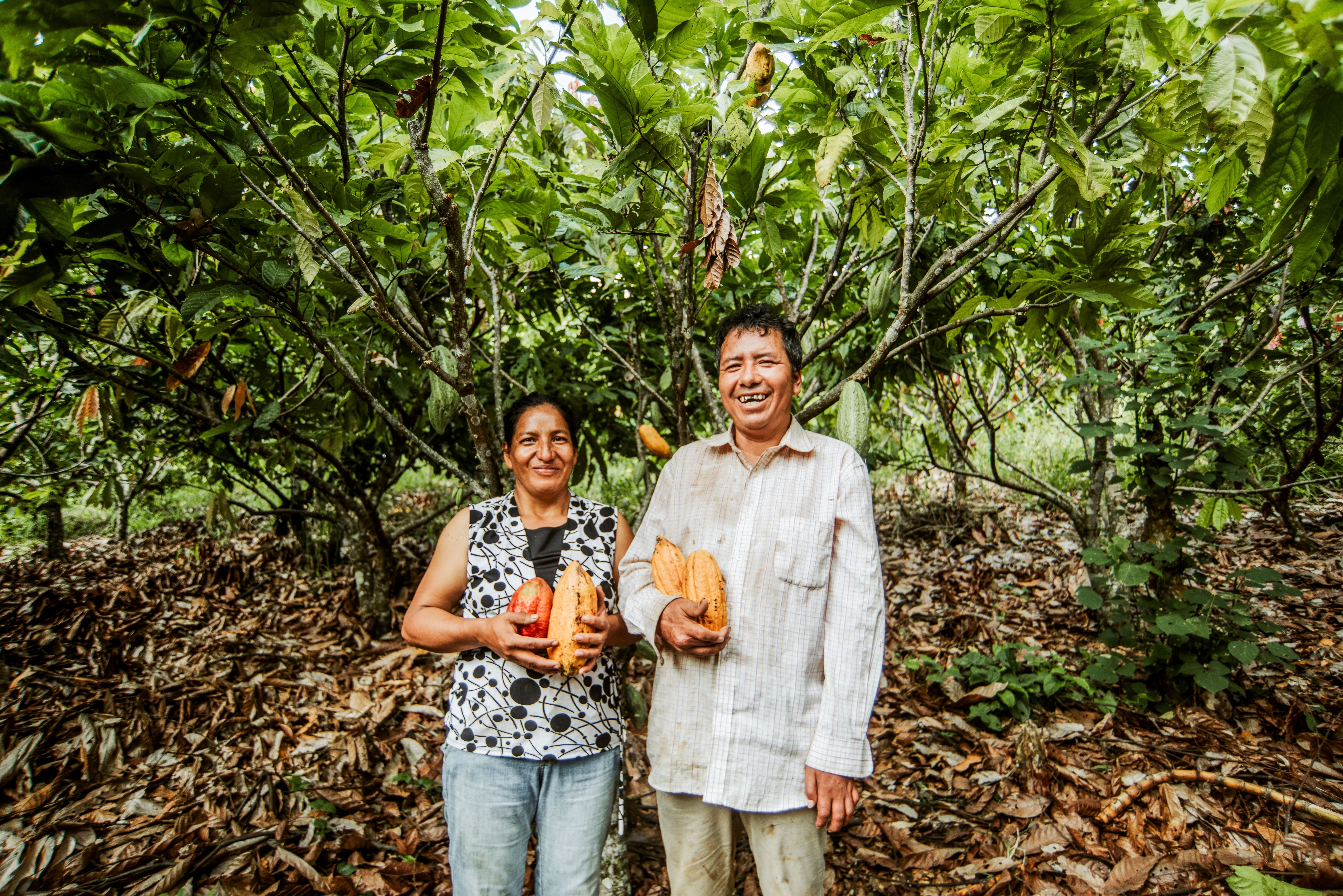 Grower Story: Jesus Guevara