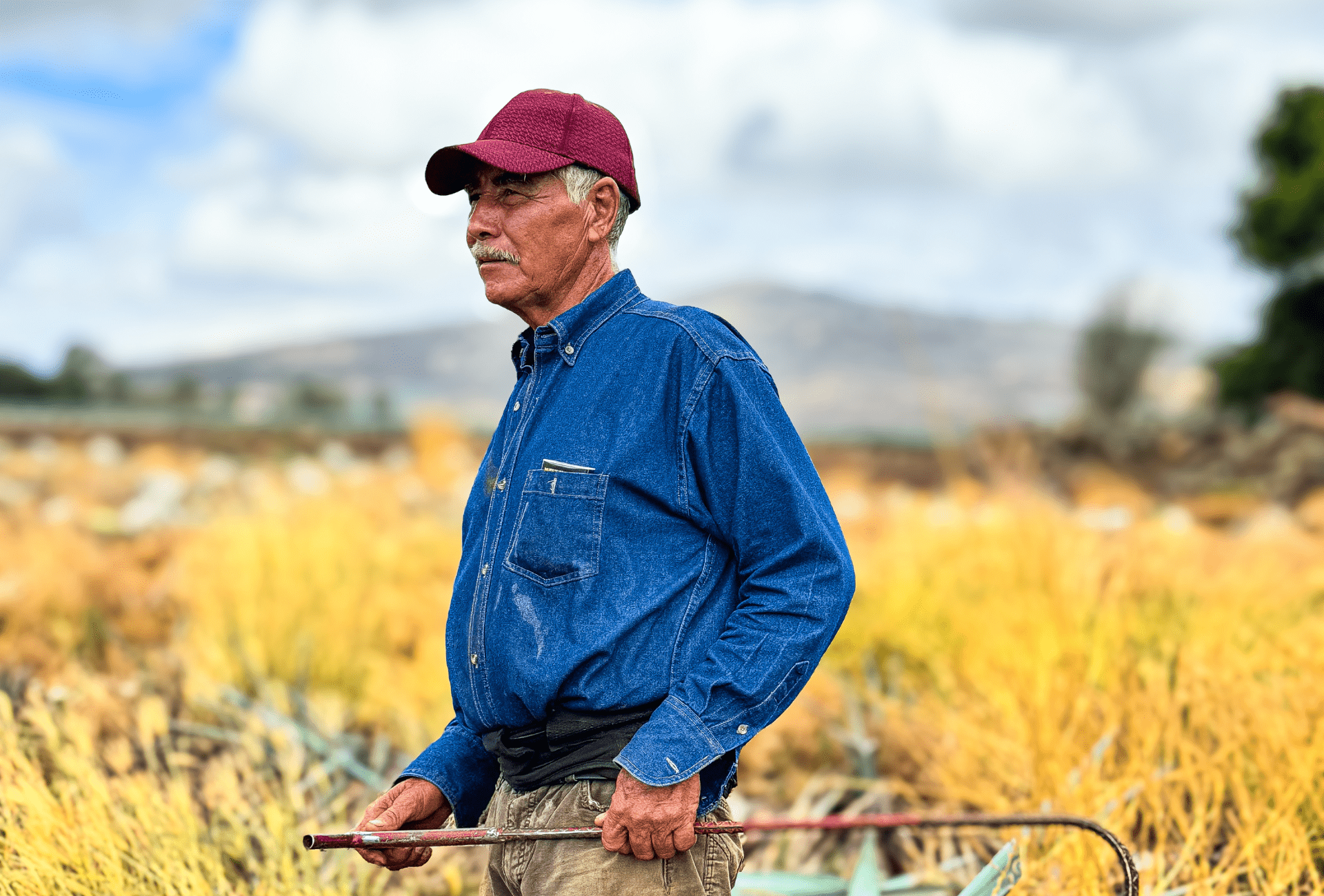 Grower Story: Javier Arriaga