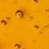 Lecithin